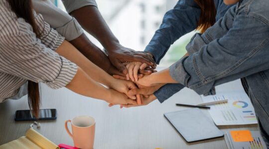 equipe multidisciplinar