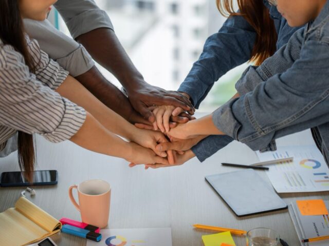 equipe multidisciplinar