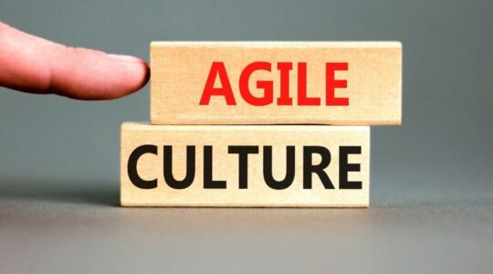 Template imagem capa blog FRST (16)