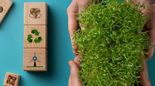 esg nas organizações