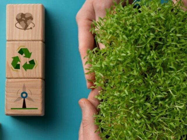 esg nas organizações