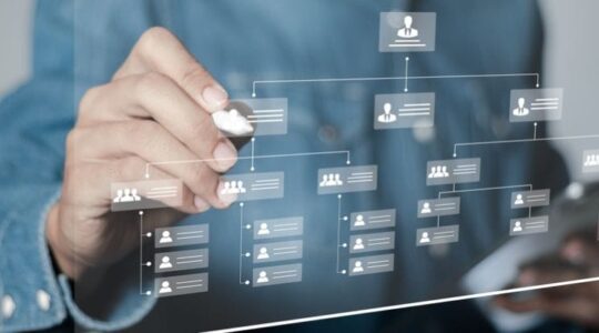 gestão organizacional