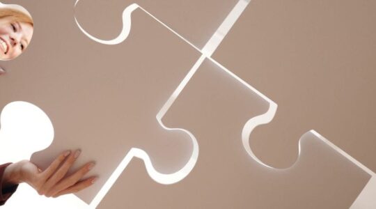 Visão sistêmica para líderes como desenvolver e se destacar