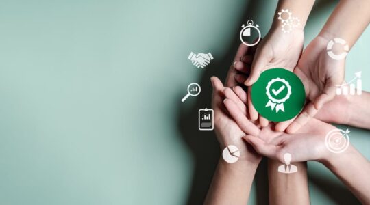 gestão da qualidade